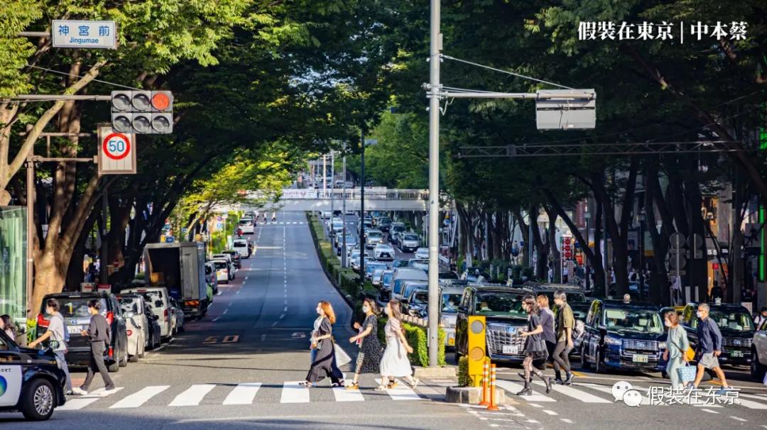 365张照片回顾,365张相片