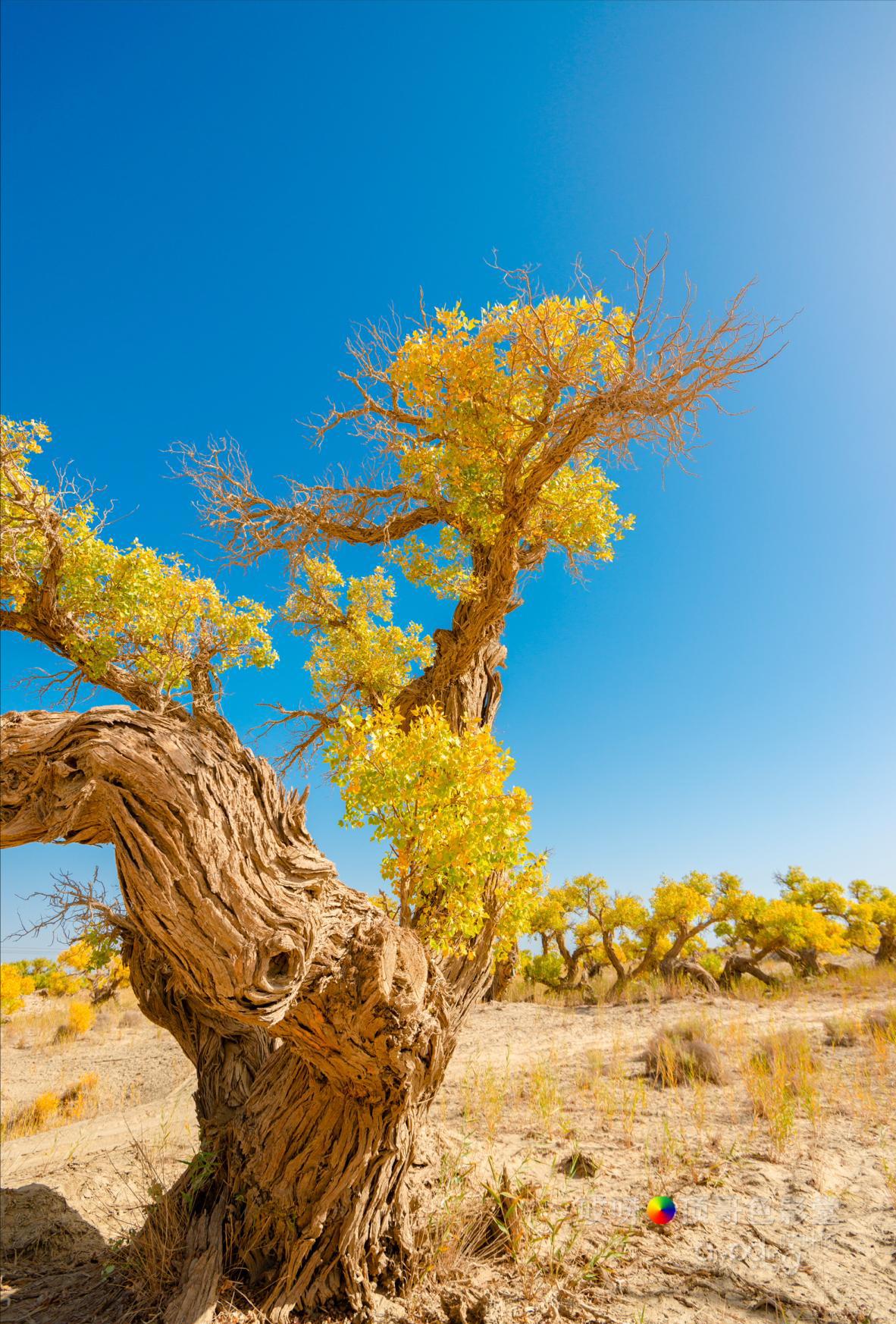 女司机带娃去新疆自驾游,带着女司机自驾游兰州