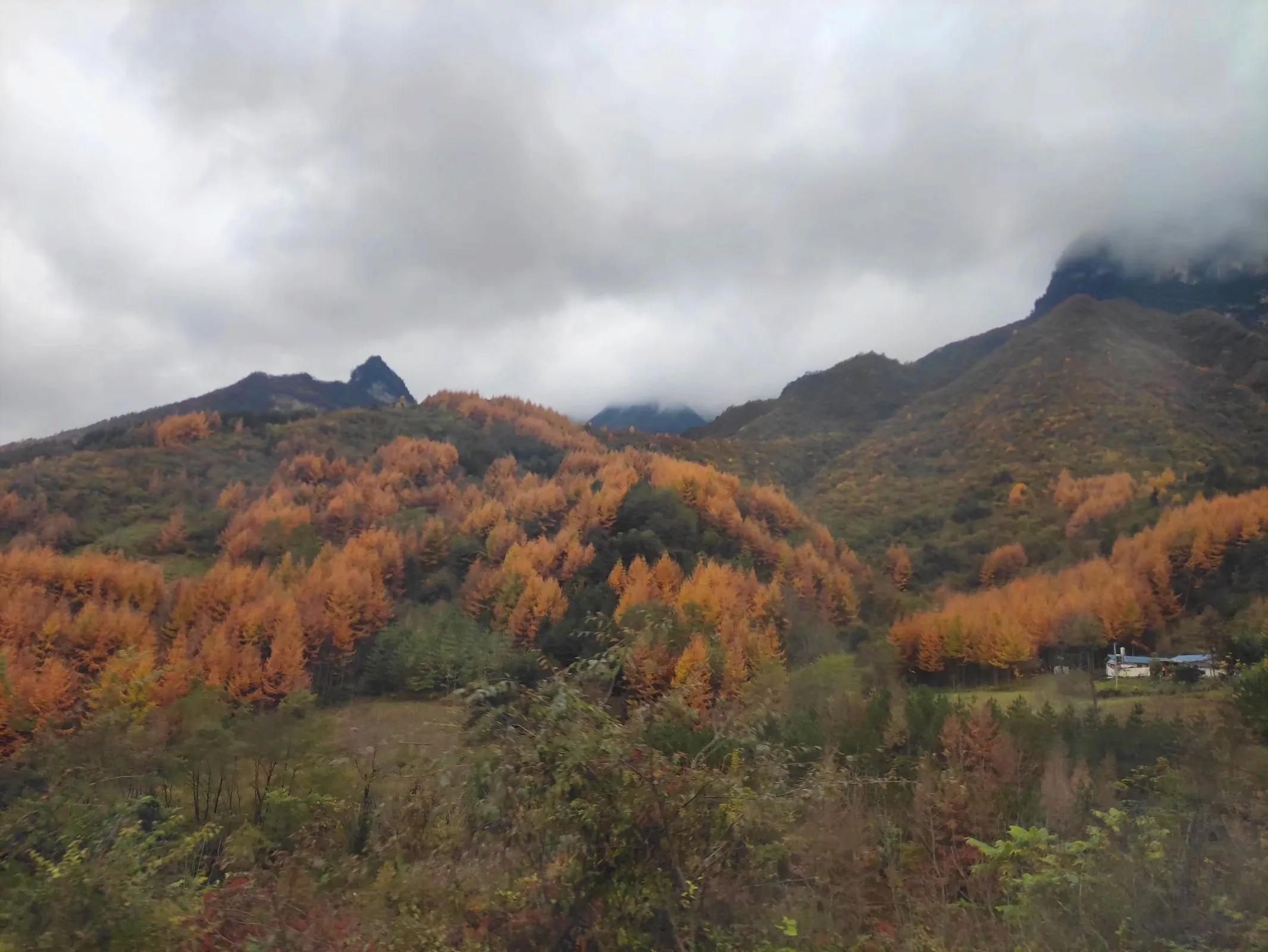 去陇南两日旅游最好攻略,旅游陇南冬天