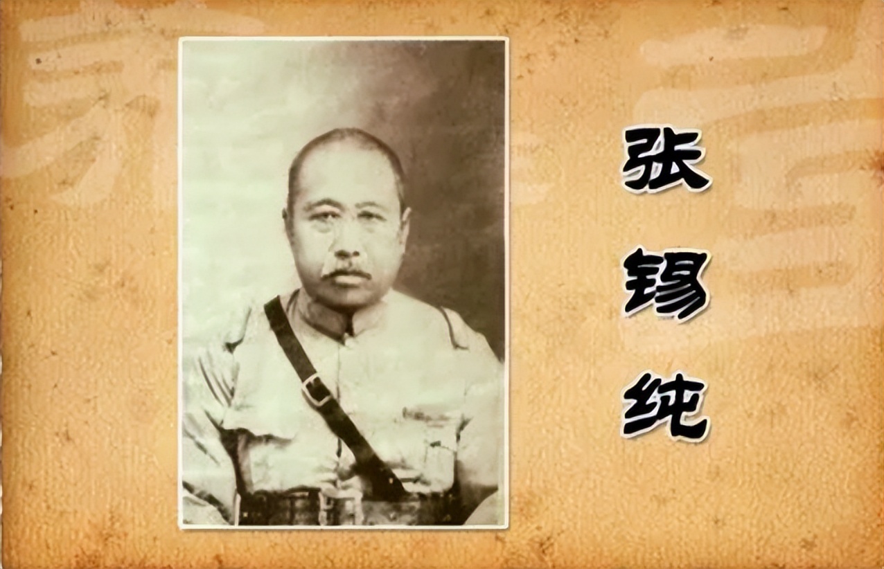 张锡纯讲中医经历,张锡纯医话医案精选