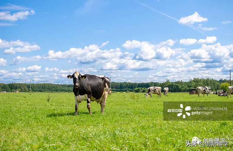 伊力特乳业始于1958年,伊力特乳业