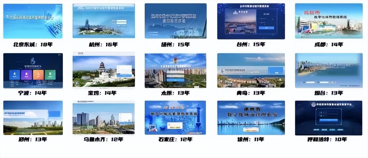 智慧城市市场参与者,数字政通智慧城市智慧政务