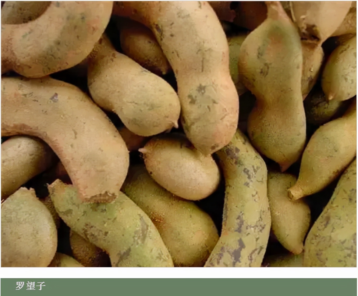 世界最好吃的水果十大排行,世界最营养又好吃的水果有哪些