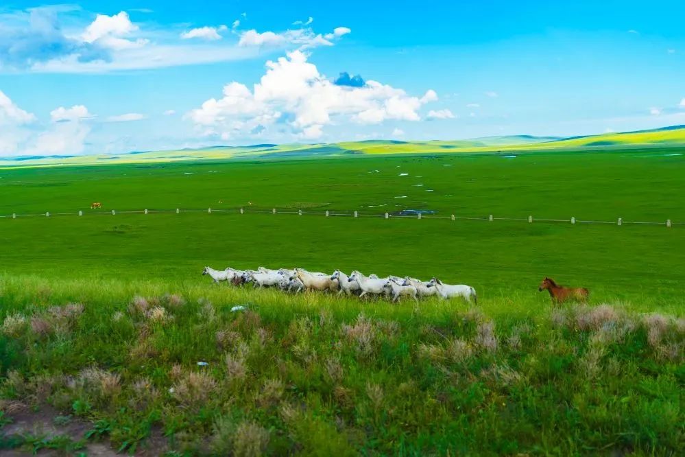 夏季旅游推荐3-4天游,夏天旅游攻略国内推荐3到4天