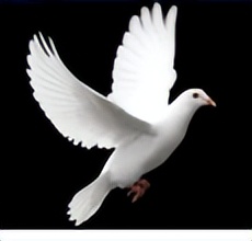 2022中考二模物理试卷及答案,2021年绵阳初二下物理试卷