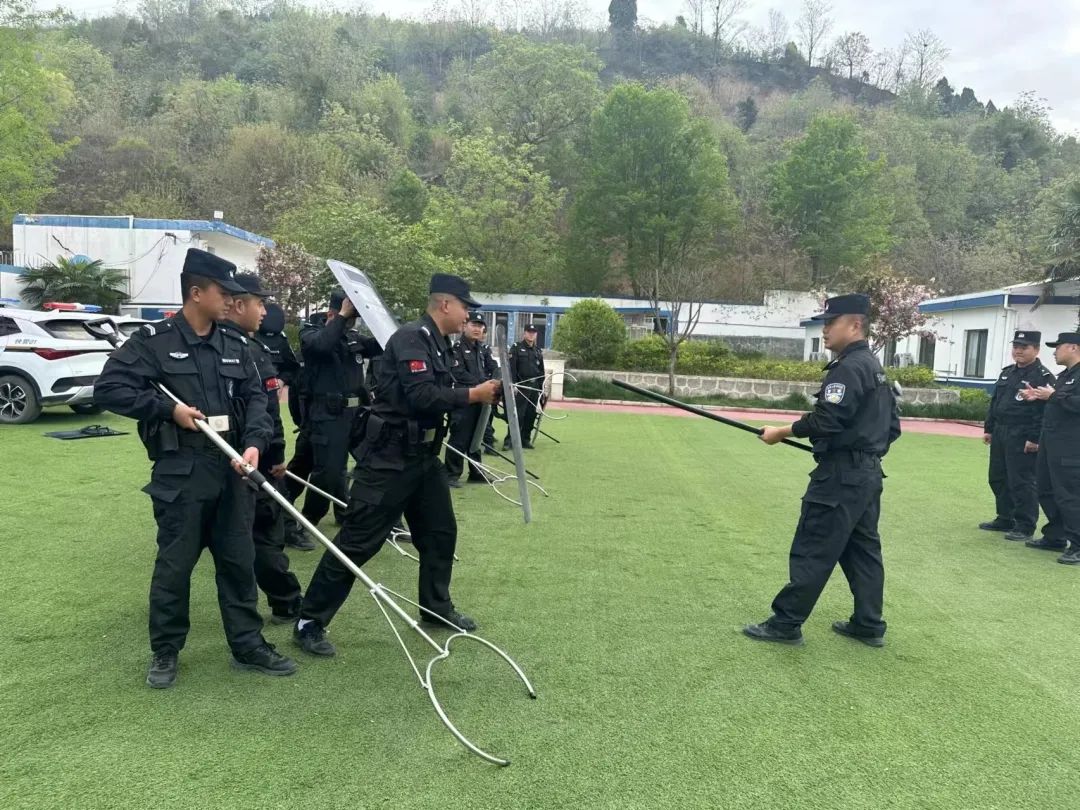 户政窗口周末开辟“学生*证办**”专场【三分钟速览成县公安动态】