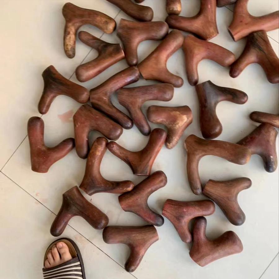 真假梅花鹿茸,假的鲜梅花鹿鹿茸