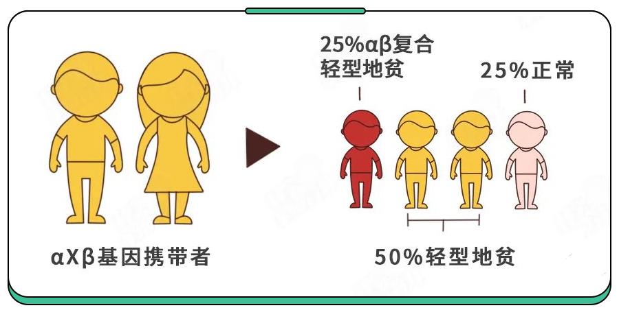 70岁老人为救孙女每天扛20吨草料,20岁才发现地贫还能治吗