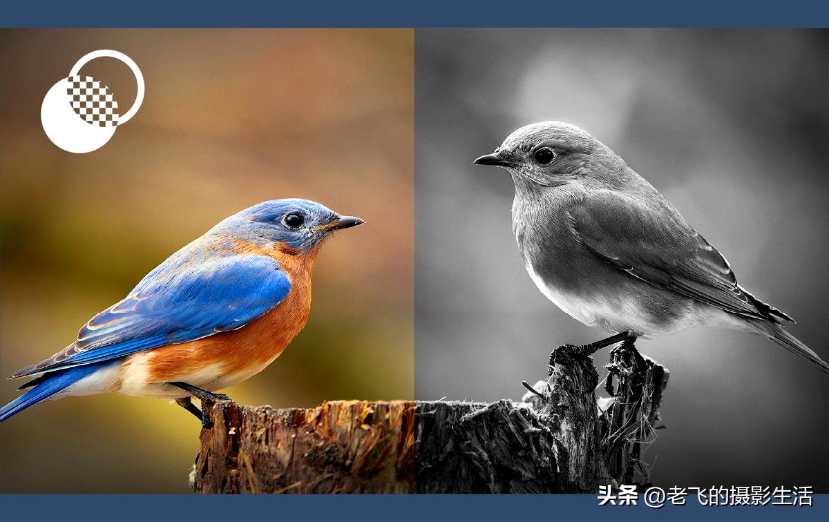 AdobePhotoshop最新版本有哪些改变呢202324.5.0.500,x64