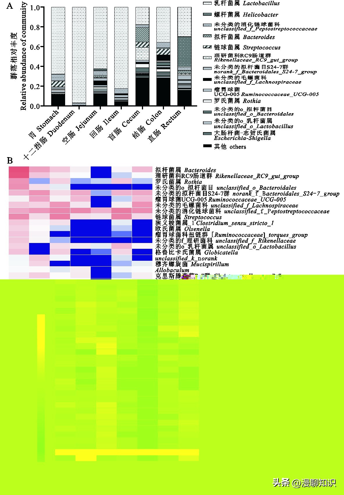 Sprague-Dawley大鼠是什么？关于它胃肠道微生物区系的研究