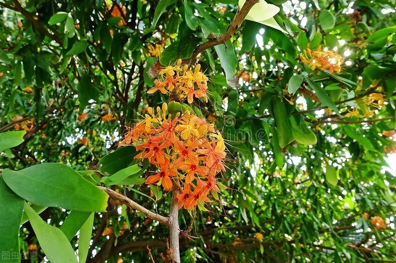 大报恩寺地宫阿育王金塔,阿育王塔放在雷峰塔哪里