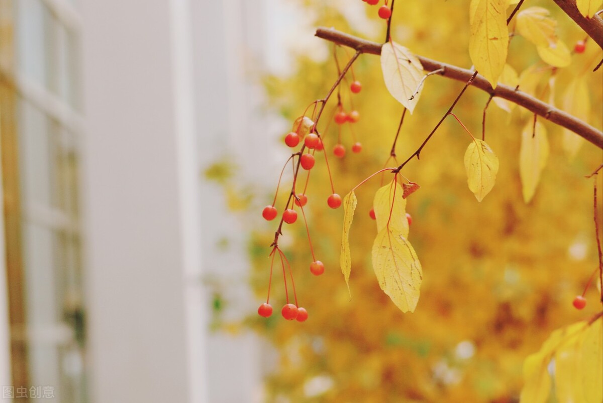 问号的内涵,问号的认识