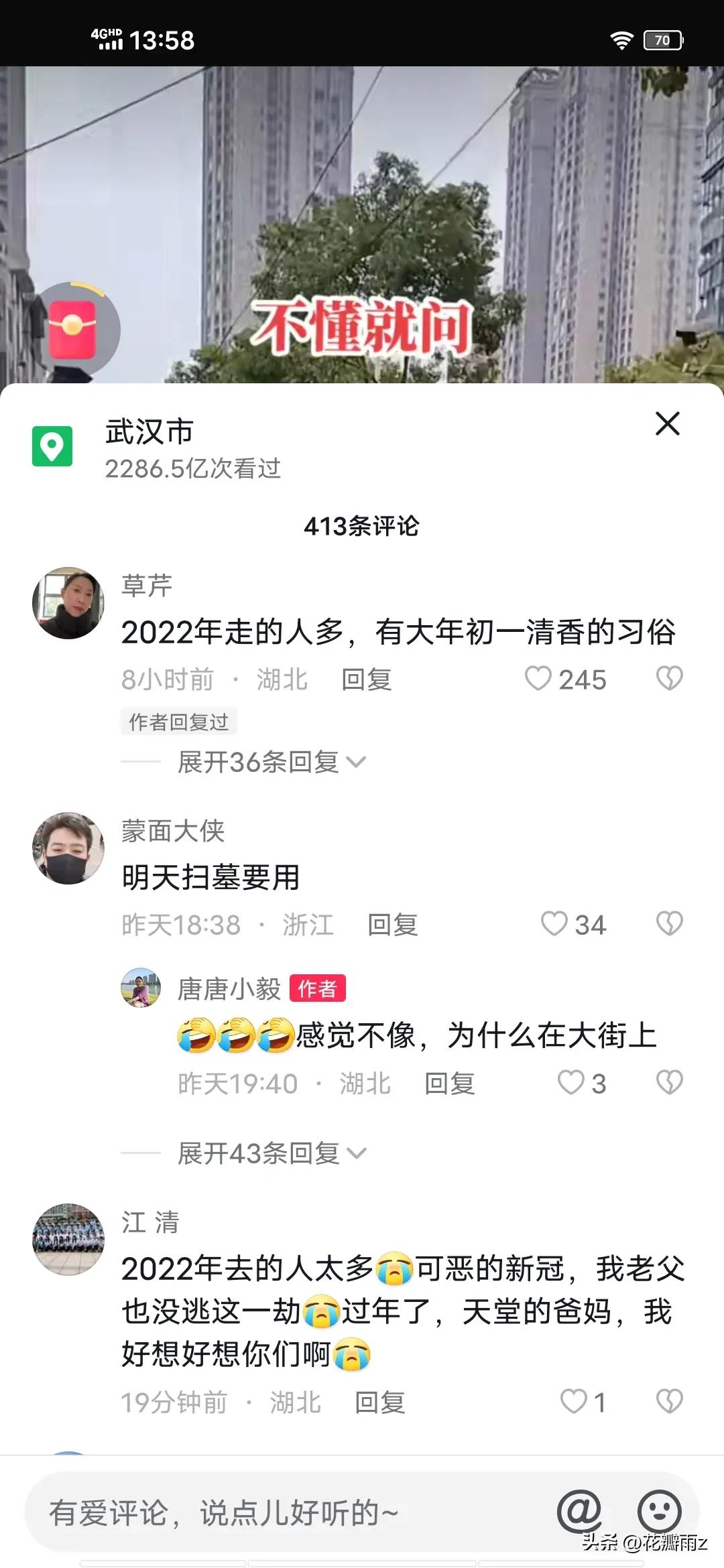 满城尽是菊花殇！大年三十武汉街头摆满菊花