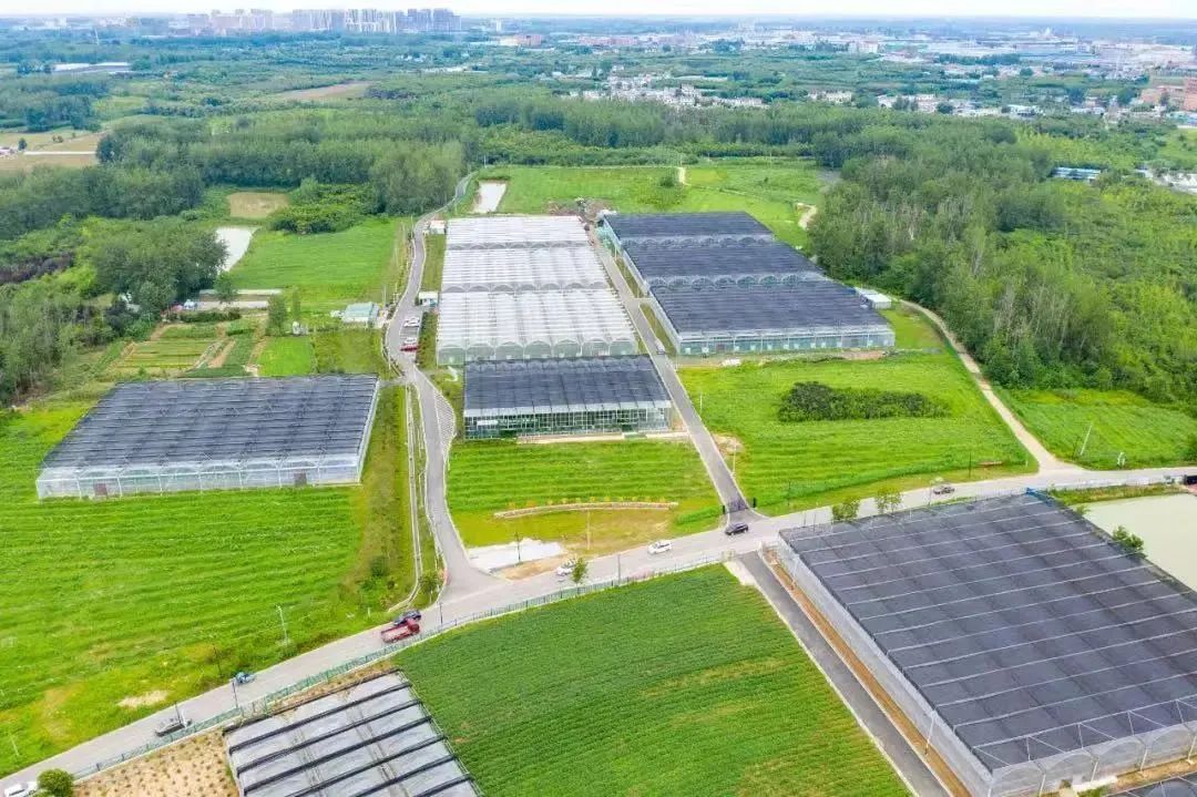 合肥周边五一好去处,合肥五一游玩攻略小孩