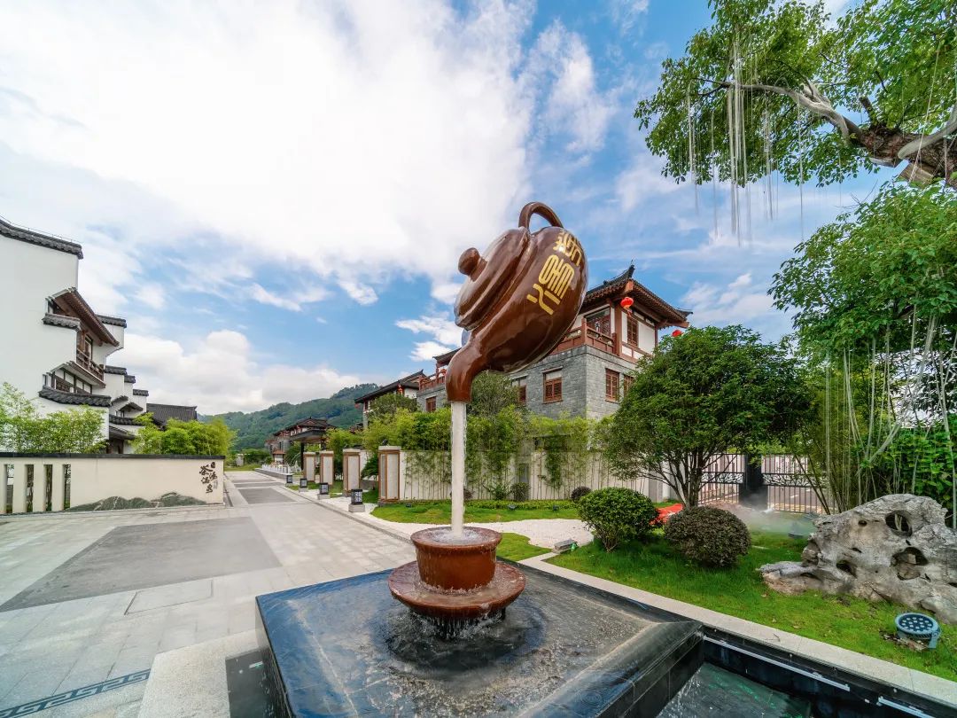 武夷山隐藏在大山里的世外桃源,武夷山景区和茶区