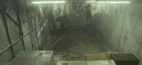 19禁王炸新剧，一口气6集