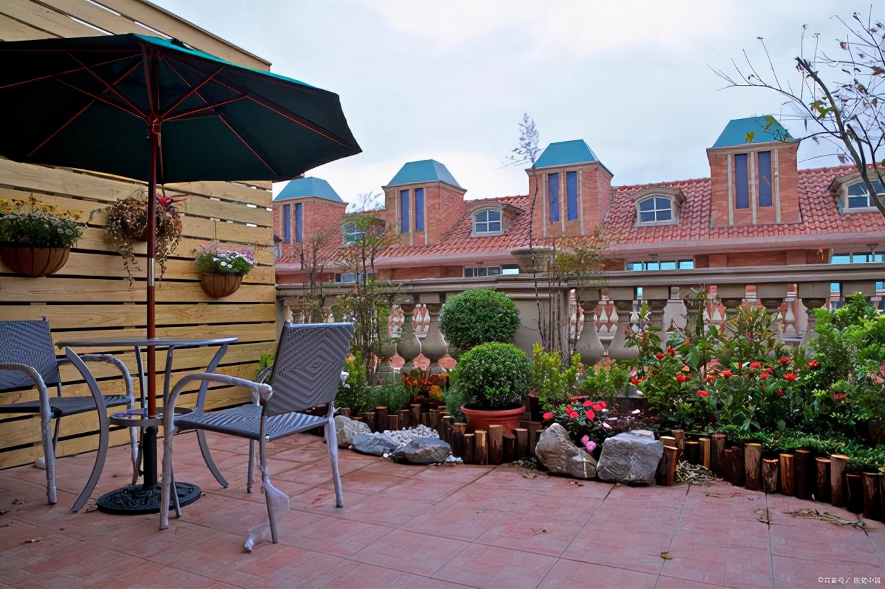 封闭阳台适合养什么花不死,从风水角度看封闭阳台养什么花好