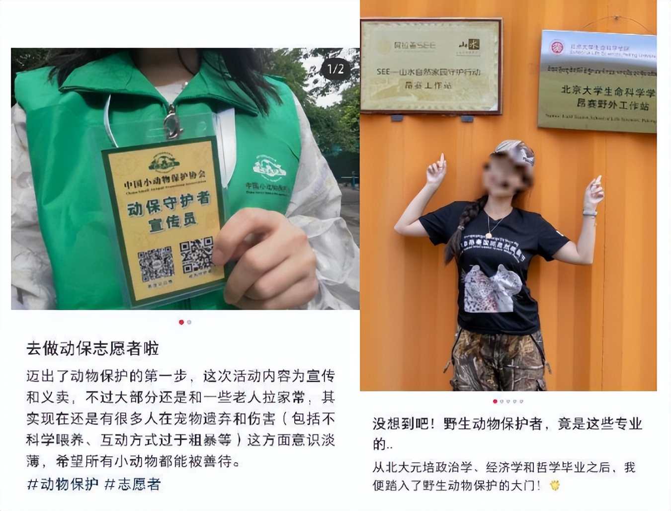 凌晨两点开始排队，年轻人怎么爱上了动物园？