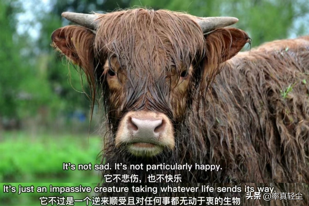 怎样才能彻彻底底忘记一些不好的事？自救必备技能说“强制关机”