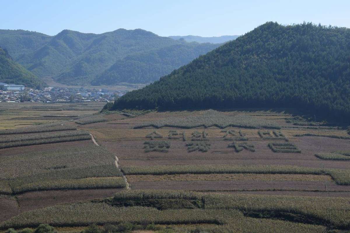 金华村美丽乡村建设,吉林省白山市长白县金华乡