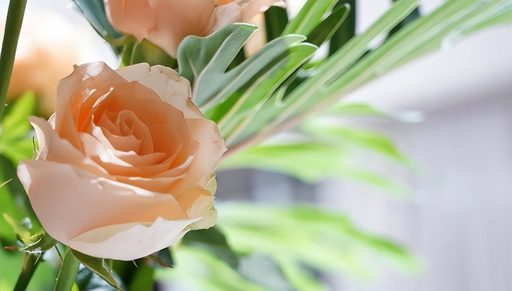 抗衰宜早不宜迟广州紫馨更专业