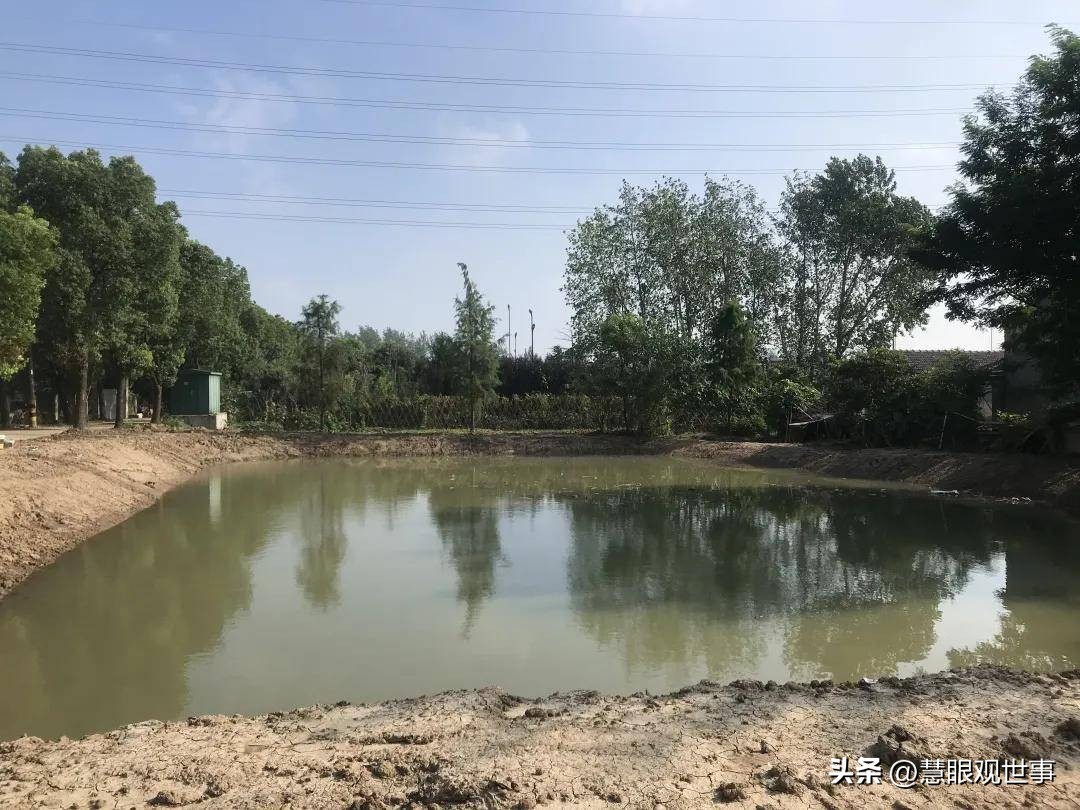 语文古诗词必背大全,古诗词考试必背诗句