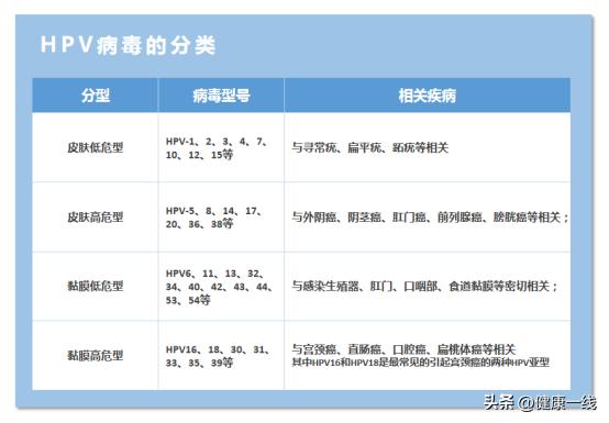 hpv转阴一般人不知道是什么,hpv是否转阴自己能感觉得到吗