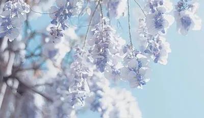 歌词文笔特别好的歌,意境极高的经典歌词