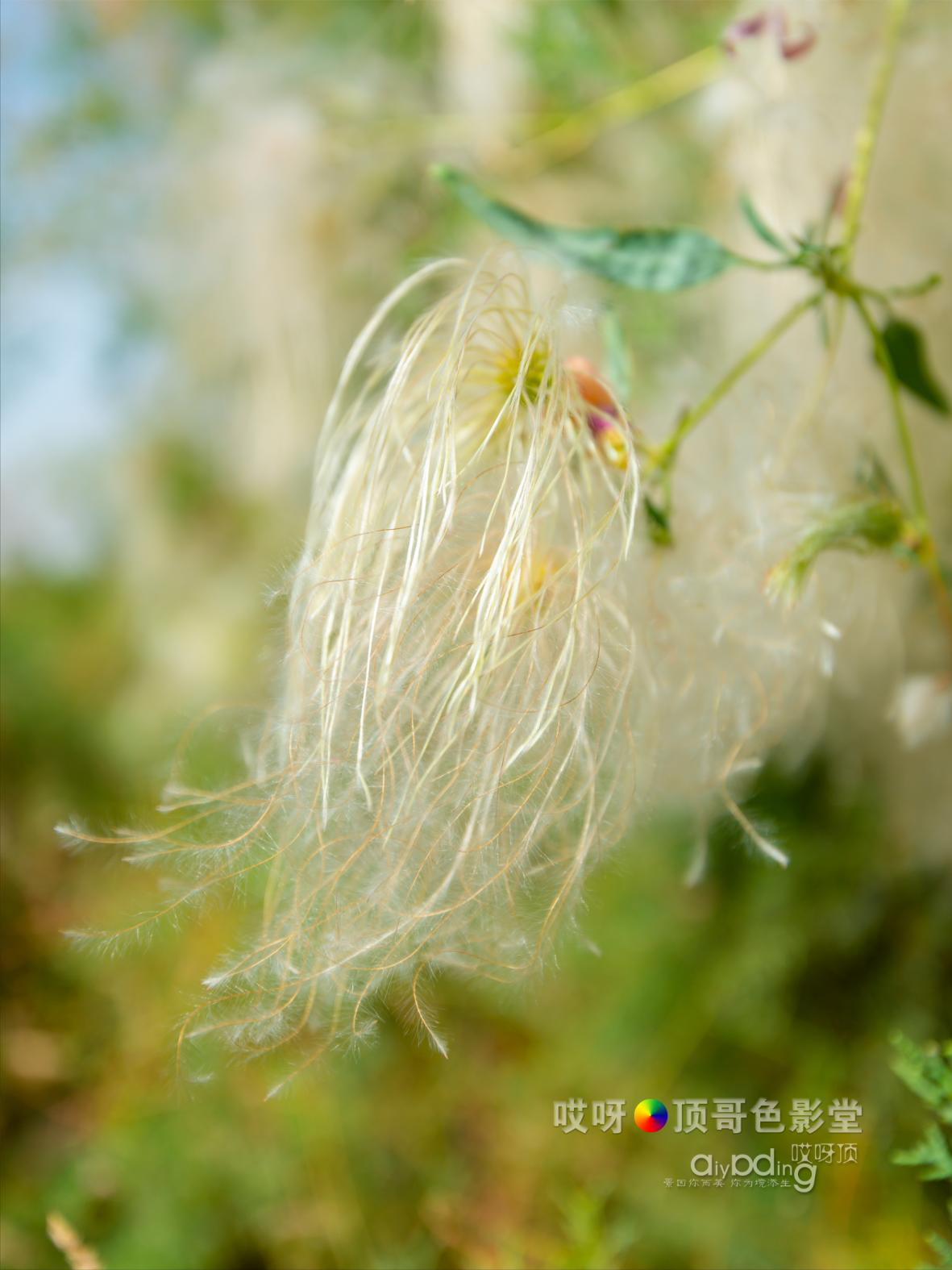 女司机带娃去新疆自驾游,带着女司机自驾游兰州