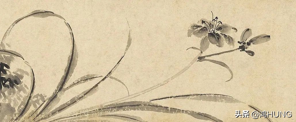 母亲节忘忧草,萱草忘忧母亲节