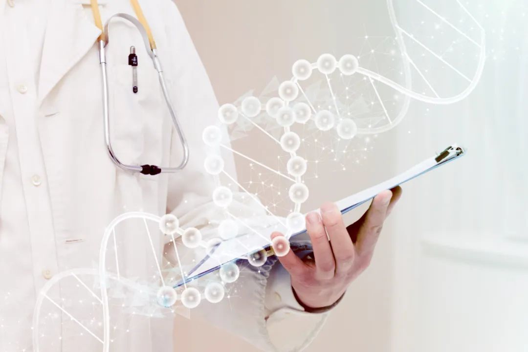 胚胎停育是精子的问题吗,胚胎停育染色体检查