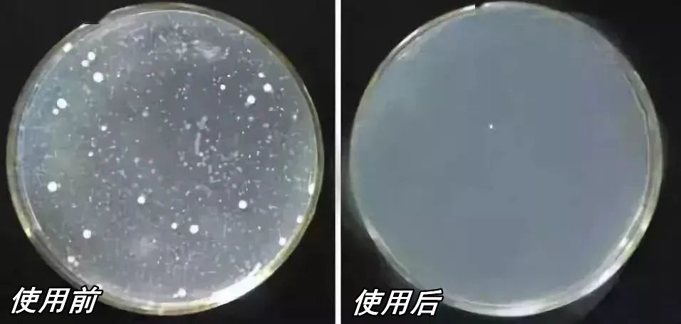 内衣去尿渍洗涤液是骗人的吗,内衣杀菌洗涤剂