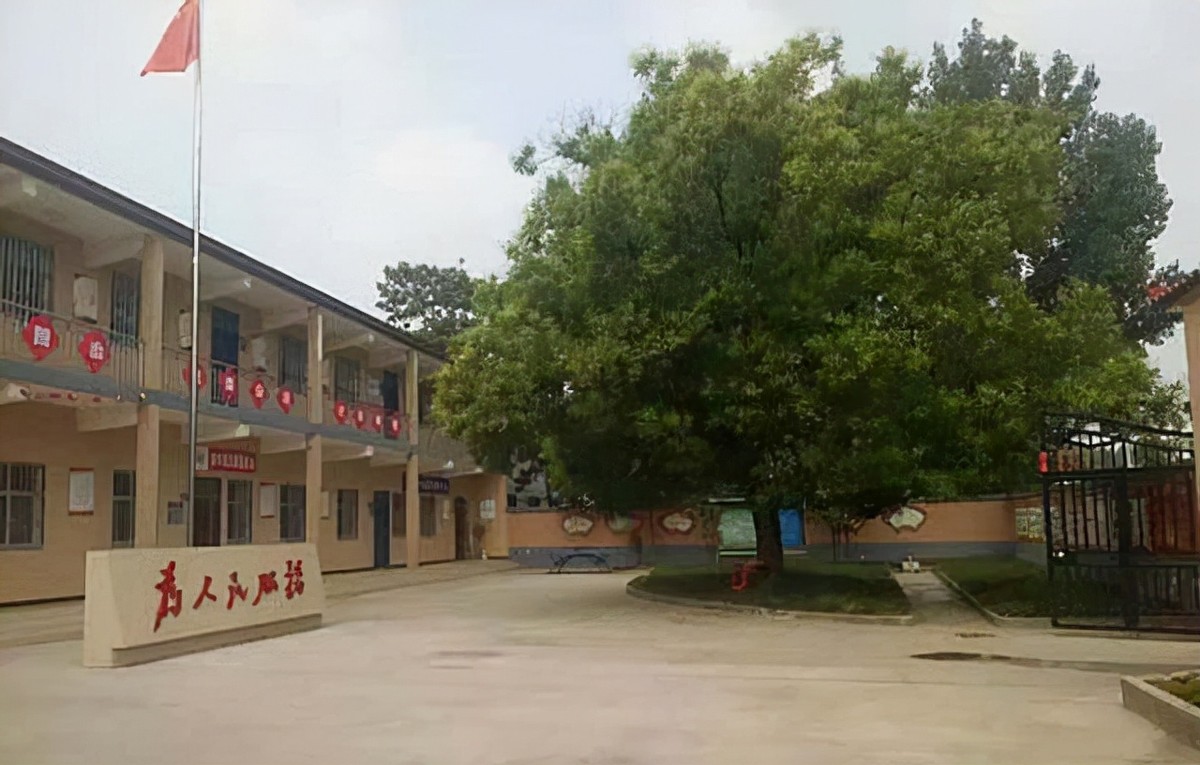 小腿巨粗的女孩,河南女子患病腿粗如大象