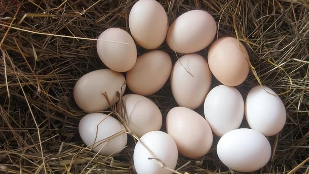 溏心鸡蛋吃了会中毒吗,溏心蛋吃多了会拉肚子吧