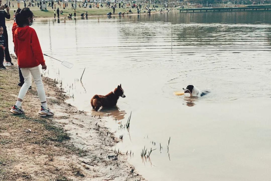 广州比较悠闲安静的地方,广州悠闲看风景的地方
