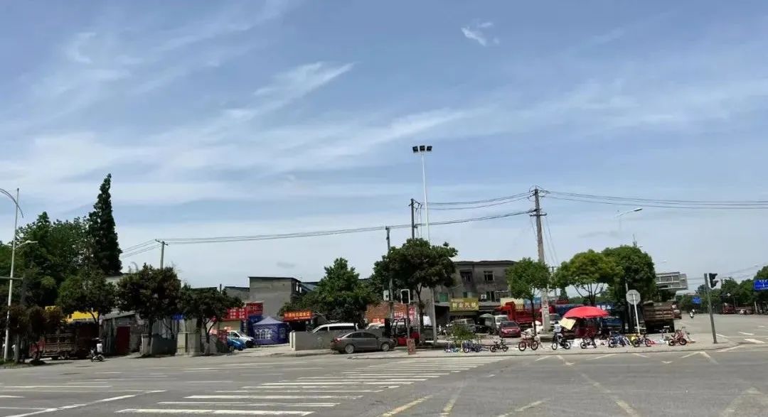 觅窝｜新双楠到底有多卷？