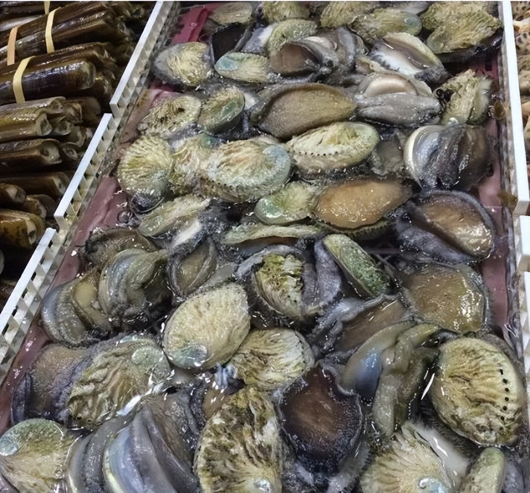 香港海鲜市场生猛海鲜,香港最大水产品市场