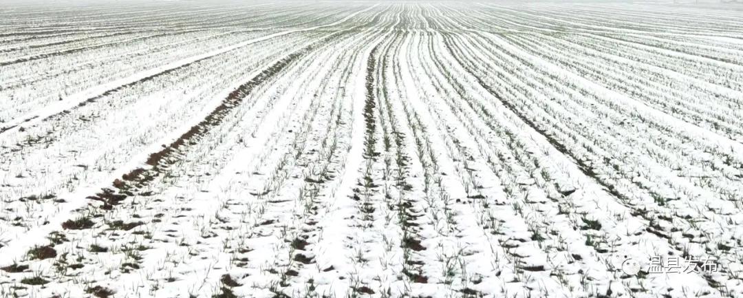 来这里邂逅最美秋韵,焦作温县玩雪