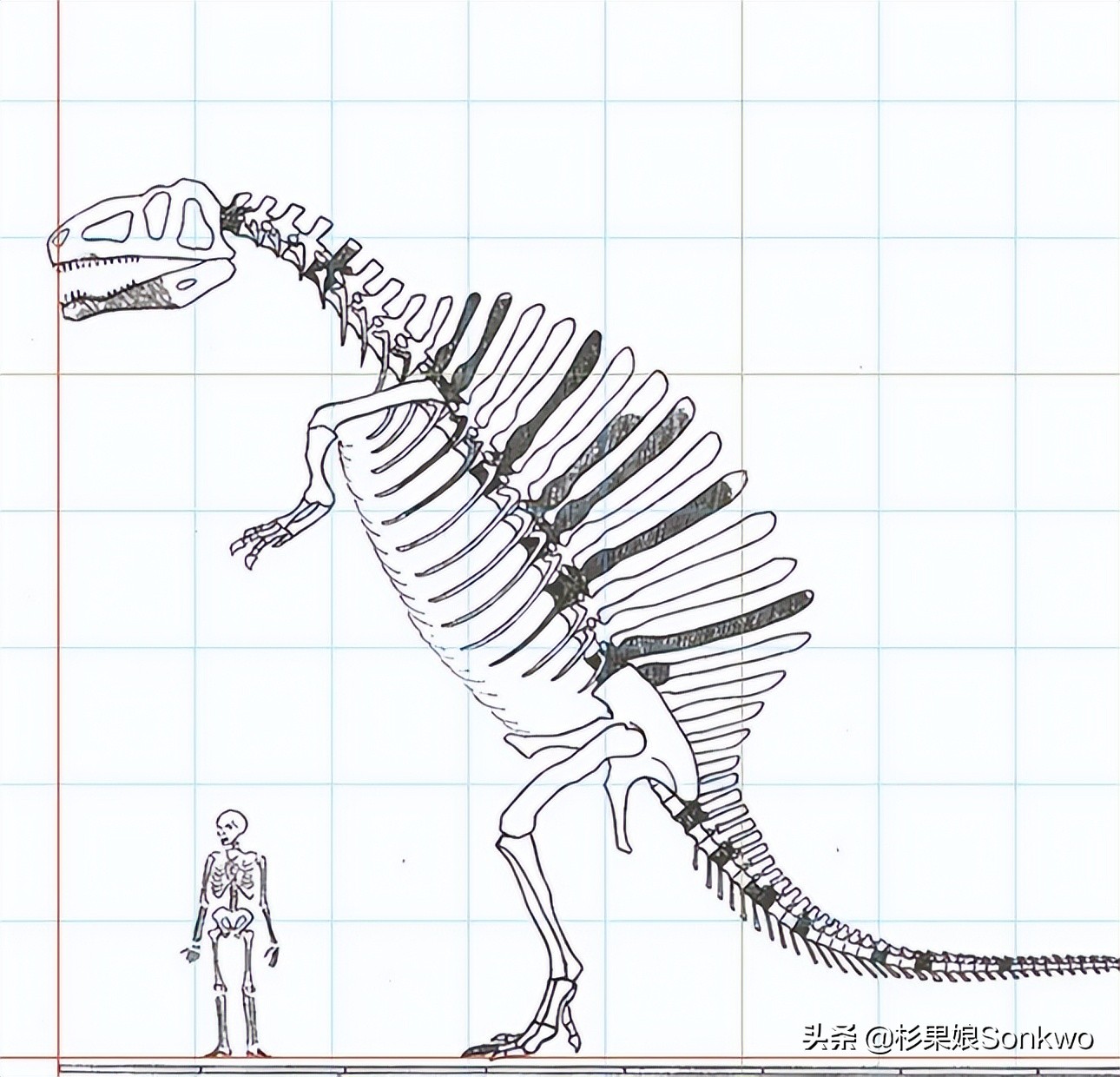 侏罗纪世界进化2水生恐龙解锁,侏罗纪世界进化2全图鉴恐龙解锁