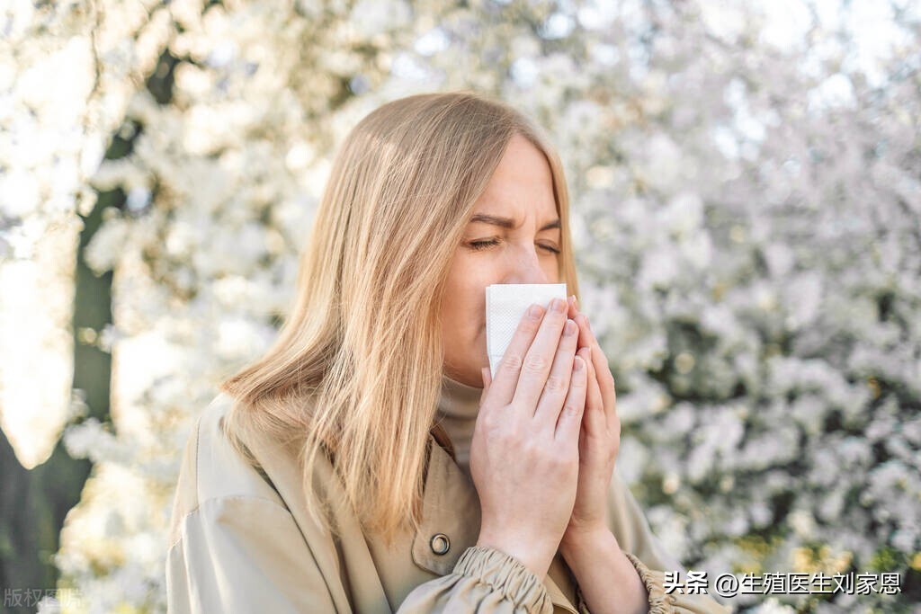 杨柳飞絮易过敏人群需做好防护,杨柳絮过敏人群飞絮防护指南