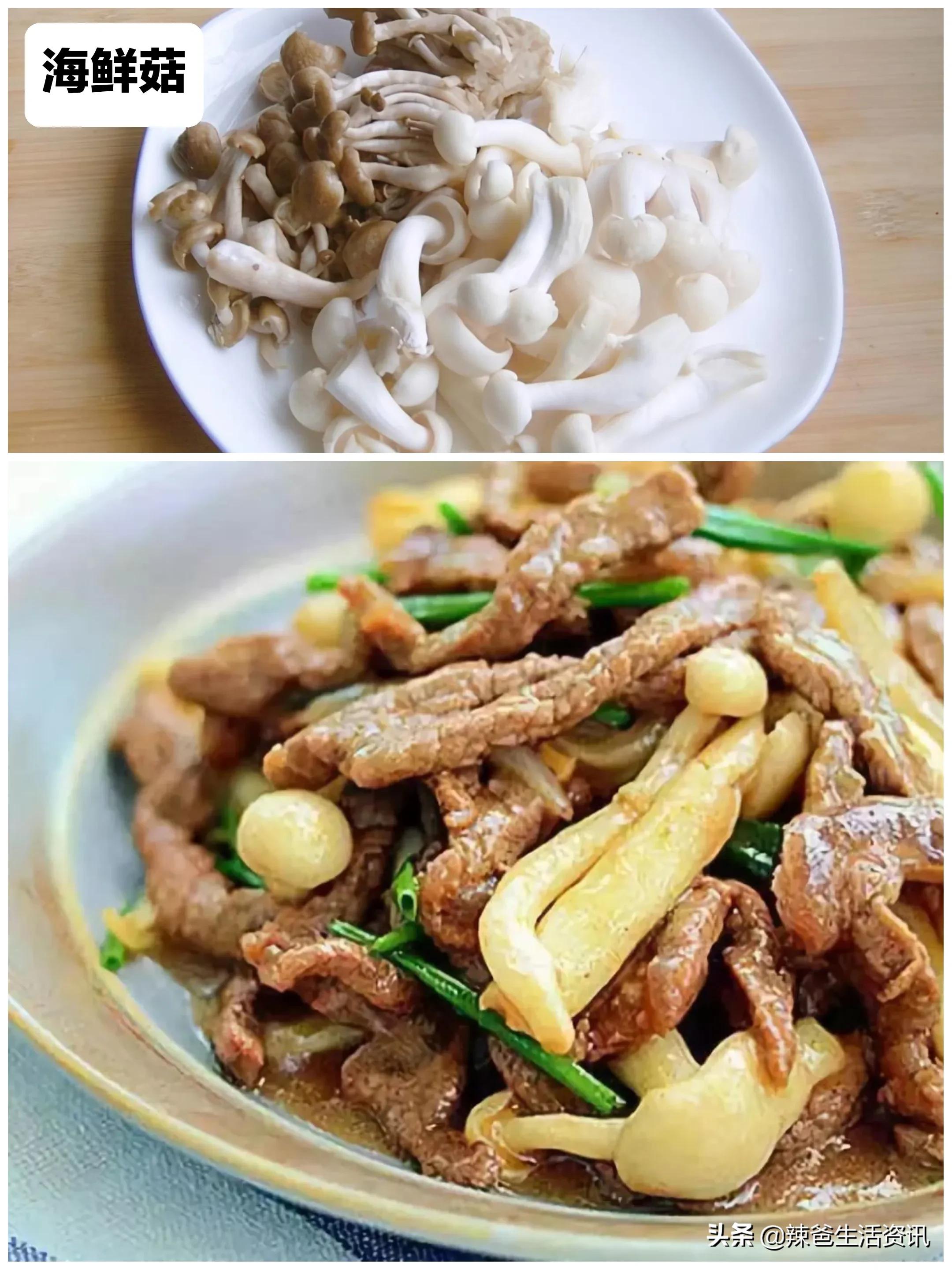 100种食用蘑菇大全,蘑菇的12种最佳吃法