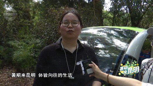 昆明动物世界野生动物园,昆明大自然野生动物园