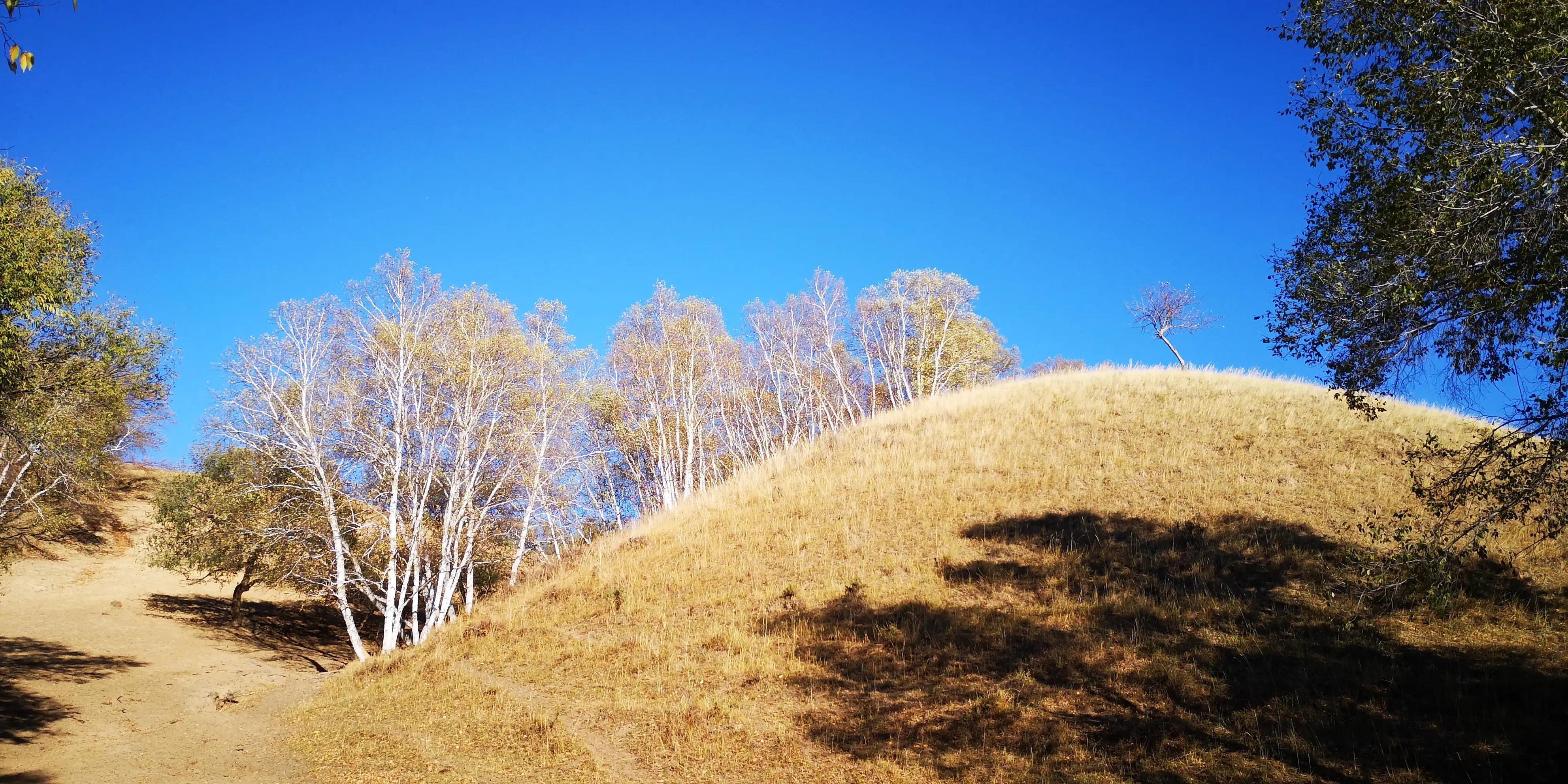 贡格尔草原离乌兰布统草原有多远,乌兰布统草原最佳旅游时间