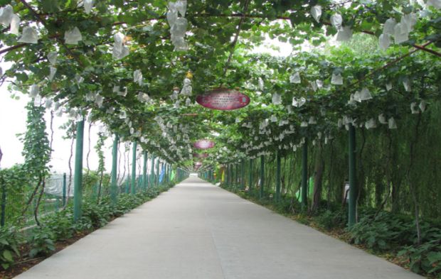 涓婃捣椹檰涓婚鍏洯,椹檰钁¤悇涓婚鍏洯娓歌