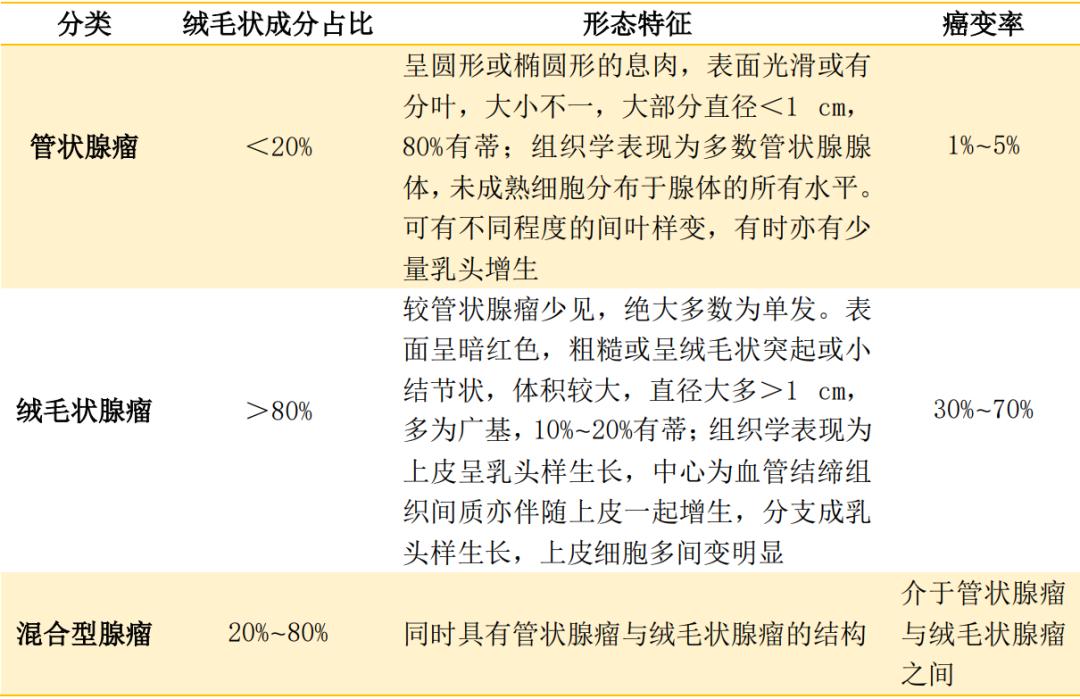直肠息肉必须警惕的癌前病变,结直肠癌的预防与治疗