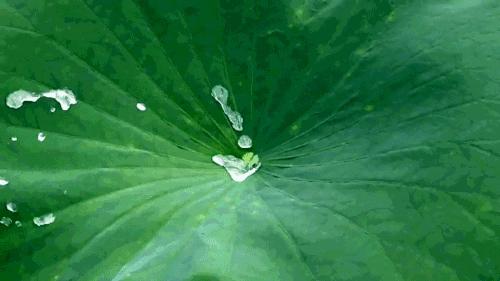 车窗起雾时应该如何正确除雾,车窗起雾解决方法开暖气