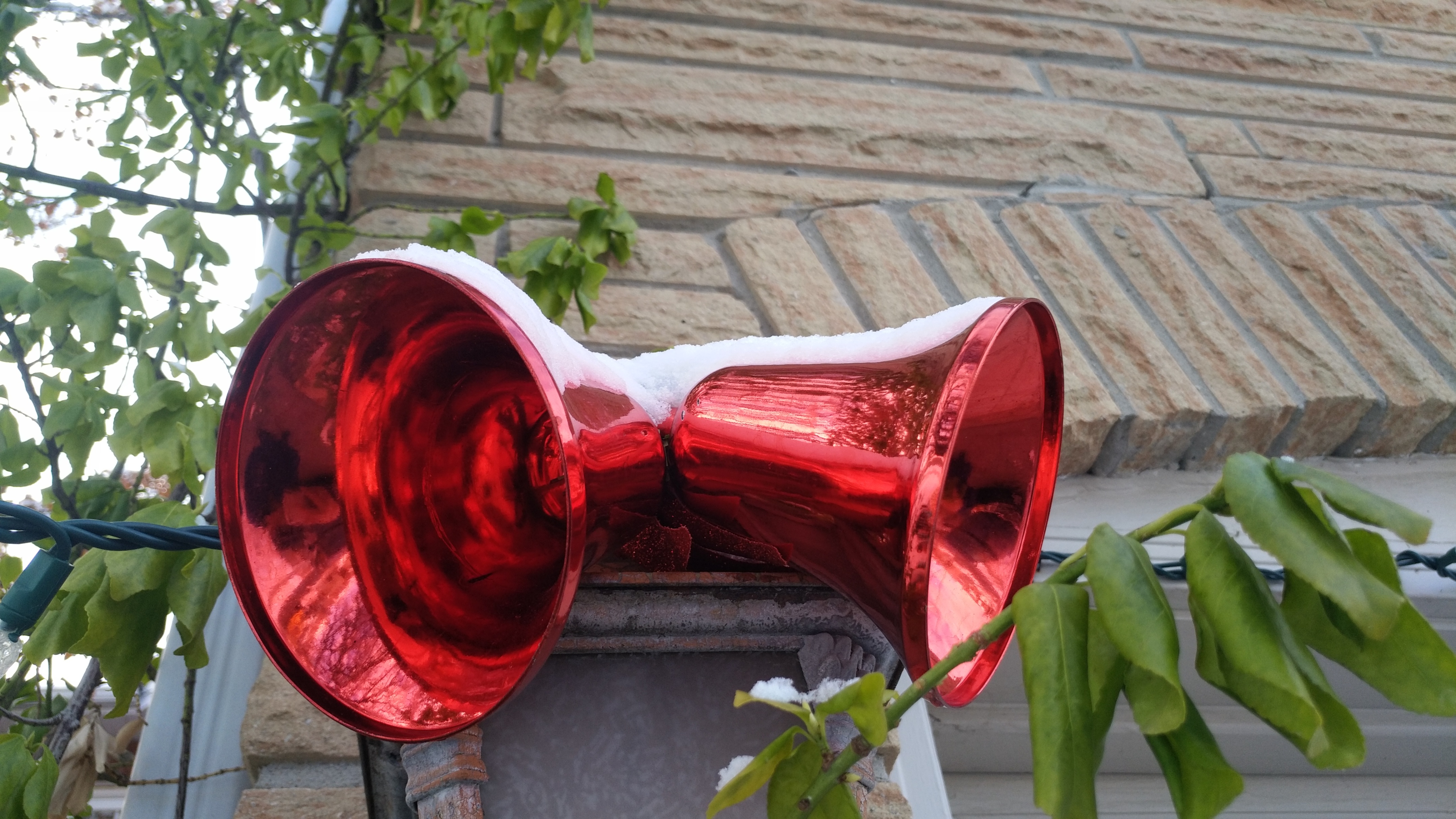 「加拿大印象」多伦多地区的冬天到底冷不冷