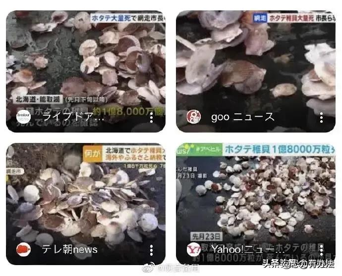 太仓进口了哪些日本海鲜,太仓港进口日本污染海鲜有什么