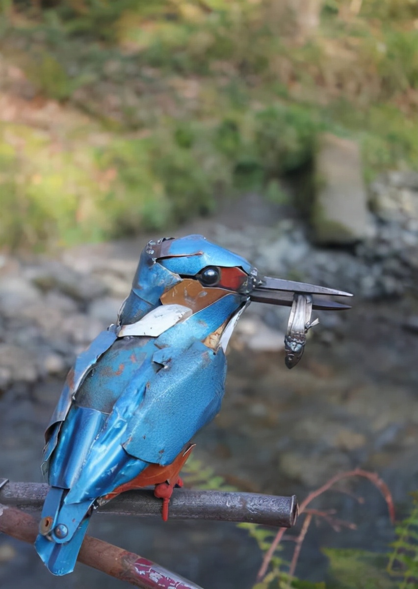 第一个用无人机拍到的鲸鱼,鲸鱼萤火虫