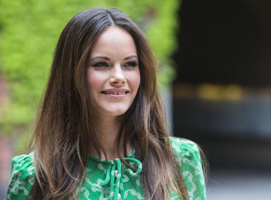 瑞典国王是谁的儿子,瑞典国王唯一的儿子